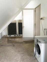 Shamrock Park (D10), Terrace #153499362